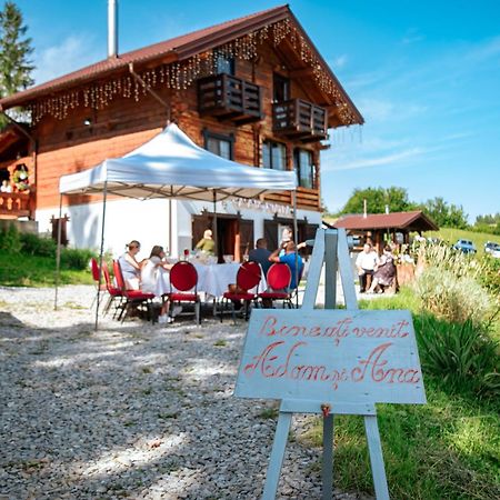 Tulean Cabin Săcel Eksteriør bilde