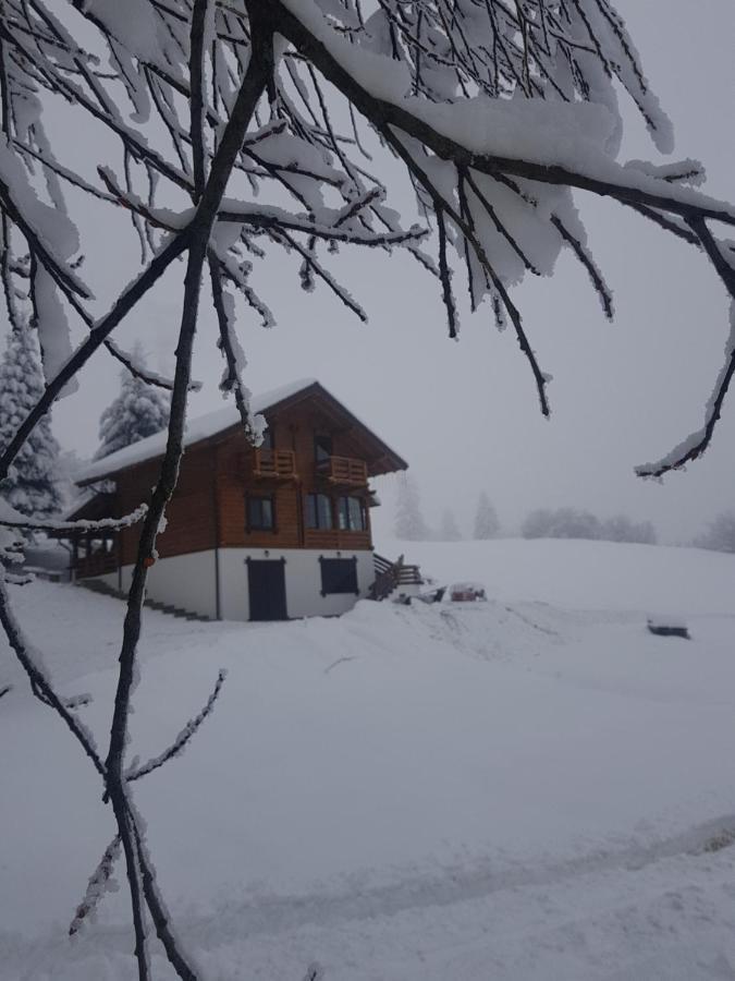 Tulean Cabin Săcel Eksteriør bilde
