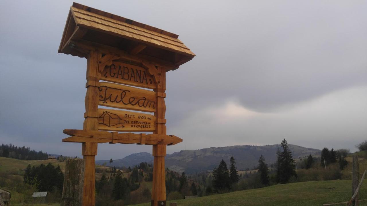 Tulean Cabin Săcel Eksteriør bilde