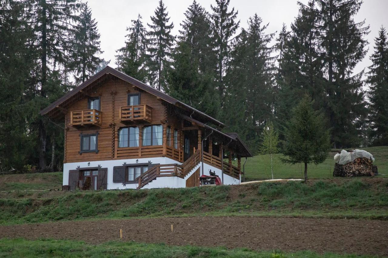Tulean Cabin Săcel Eksteriør bilde
