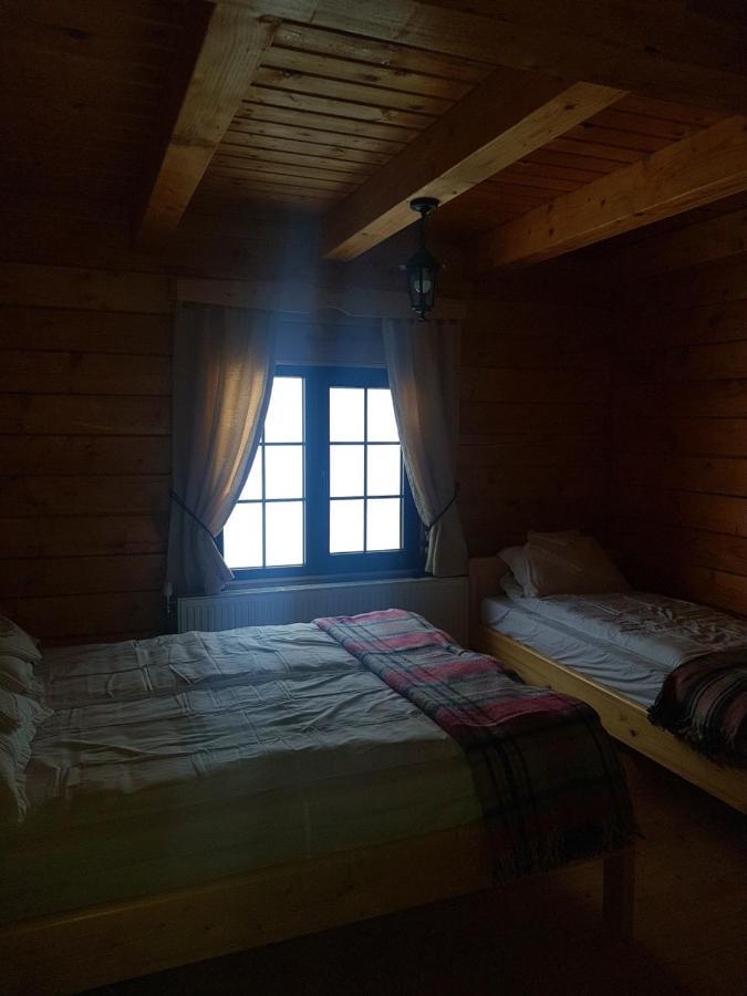 Tulean Cabin Săcel Eksteriør bilde