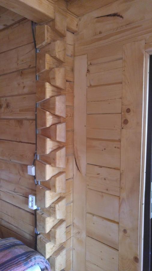 Tulean Cabin Săcel Eksteriør bilde