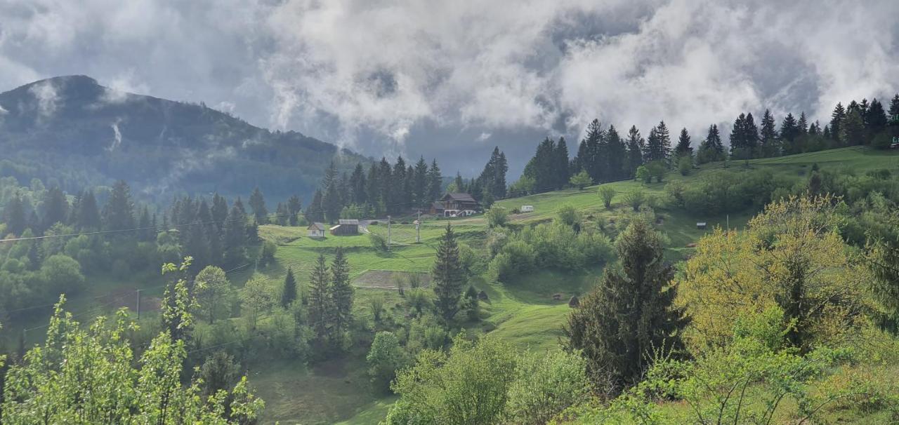 Tulean Cabin Săcel Eksteriør bilde