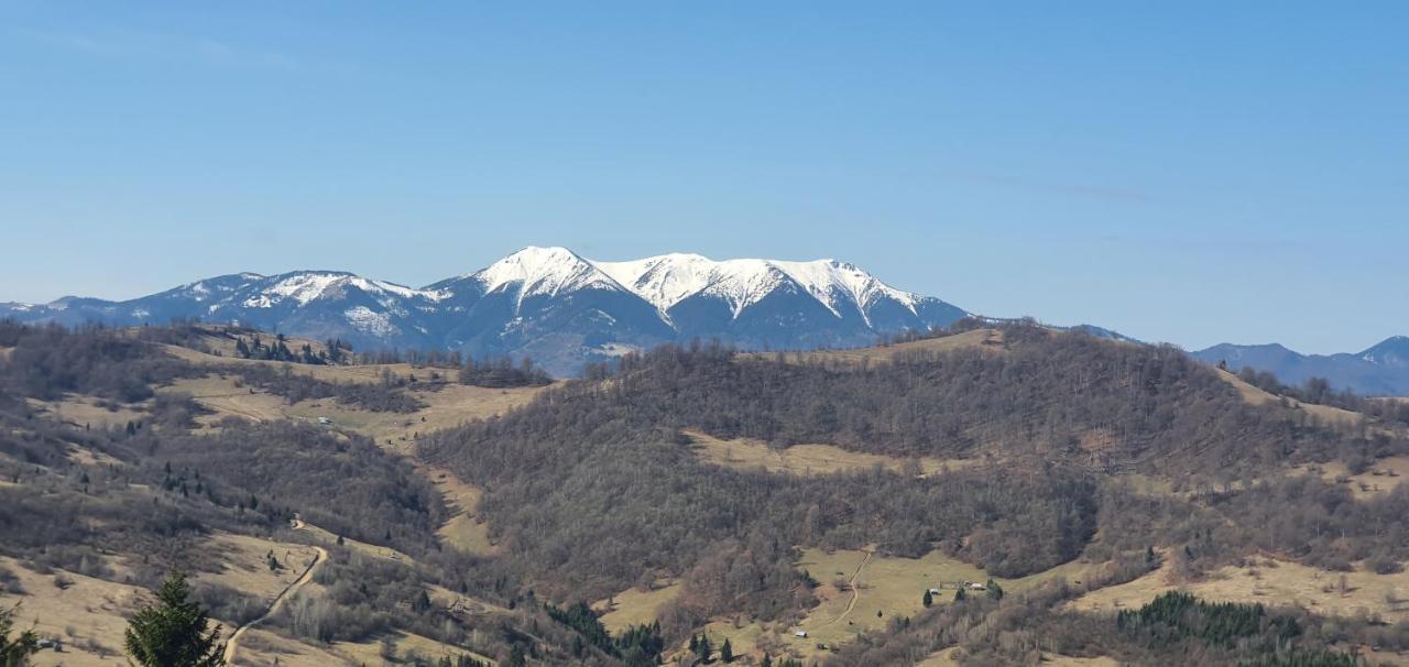 Tulean Cabin Săcel Eksteriør bilde