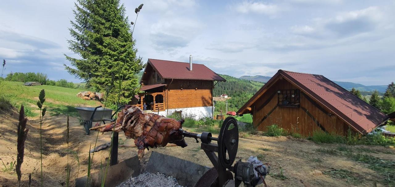 Tulean Cabin Săcel Eksteriør bilde
